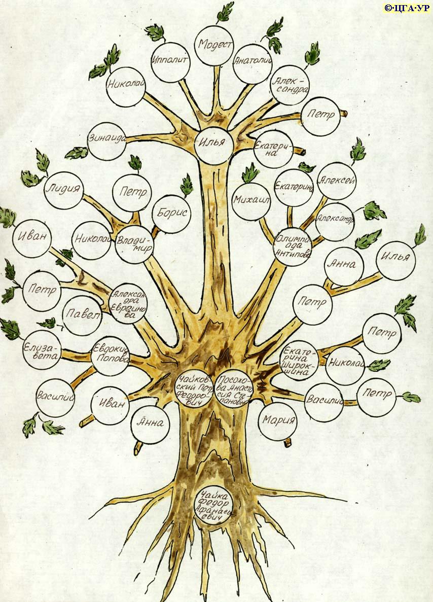 Род корневых будет жить 9 читать. Родовое Древо корни рода. Генеалогическое Древо Чайковского Петра Ильича. Родословное дерево с корнями. Дерево жизни.